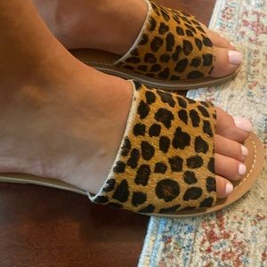 Leopard sandals